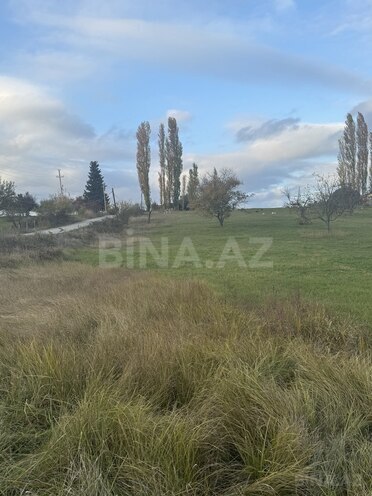 Satılır  torpaq 50 sot, photo 11 from 12