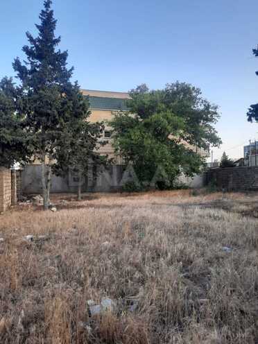 Продаётся  участок 62 сот, пос. Бадамдар, photo 4 from 7