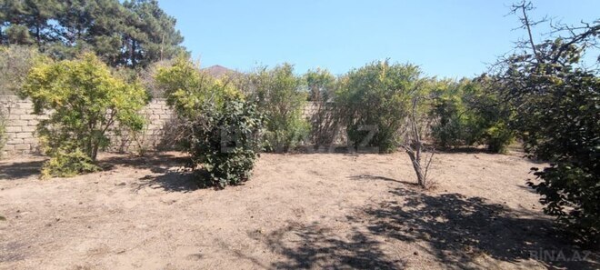 Продаётся  участок 30 сот, пос. Мардакан, photo 14 from 21