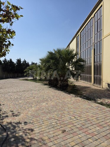 Сдаётся  объект 1 000 м², пос. Шихов , photo 3 from 29