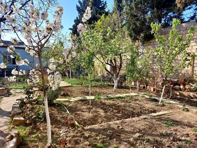 Satılır 5 otaqlı həyət evi/bağ evi 100 m², Azadlıq Prospekti m., photo 4 from 6