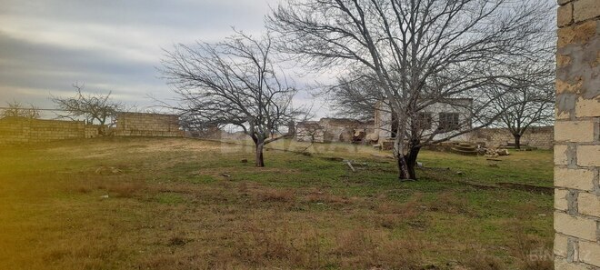 Продаётся  участок 7 сот, пос. Маштаги, photo 7 from 8