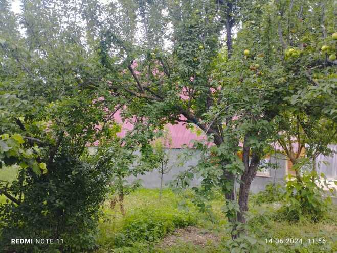 İcarəyə verilir 3 otaqlı həyət evi/bağ evi 100 m², photo 4 from 24