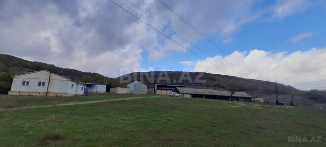 Satılır  obyekt 300 m², photo 3 from 31