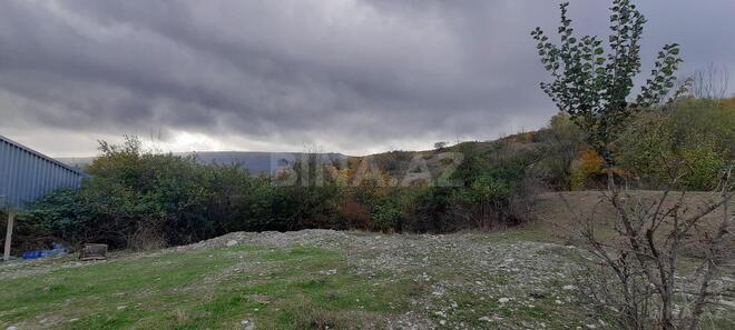 Satılır  obyekt 300 m², photo 16 from 31