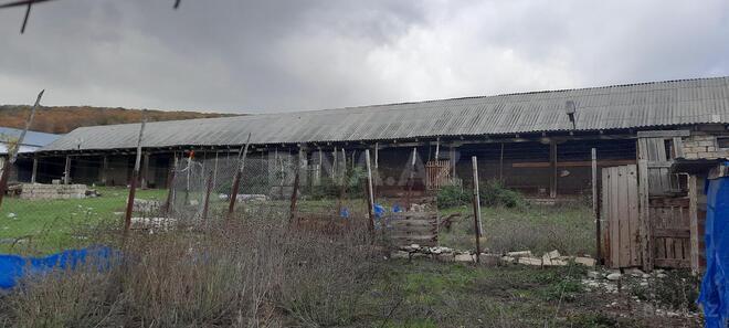 Satılır  obyekt 300 m², photo 21 from 31