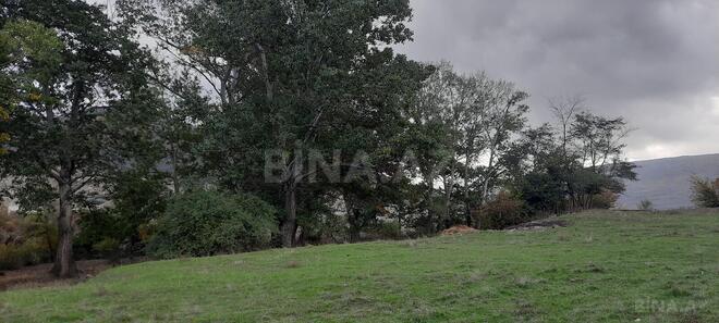 Satılır  obyekt 300 m², photo 20 from 31