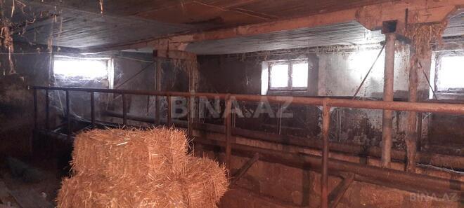 Satılır  obyekt 300 m², photo 26 from 31