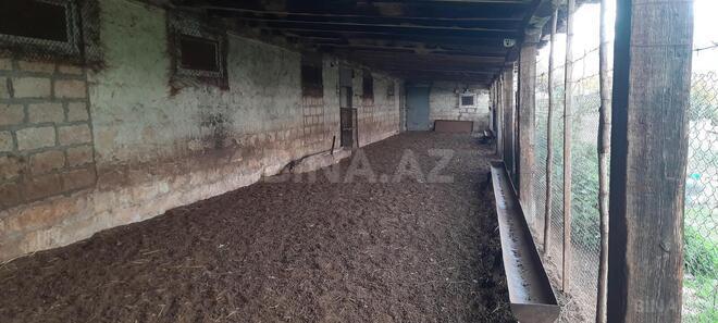 Satılır  obyekt 300 m², photo 25 from 31