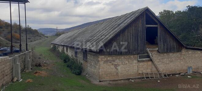 Satılır  obyekt 300 m², photo 13 from 31