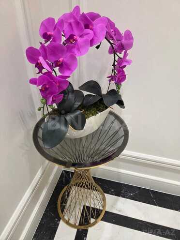Satılır 4 otaqlı yeni tikili 145 m², Ağ şəhər q., photo 31 from 32