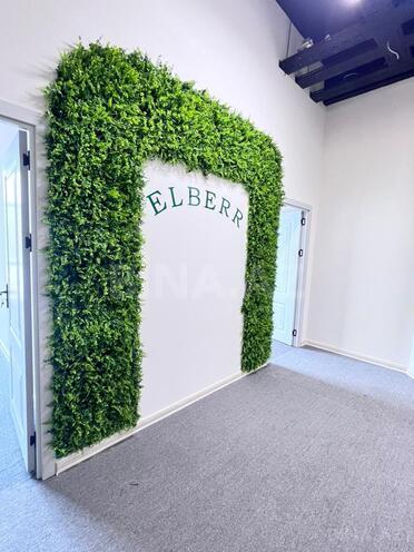 Сдаётся 4-комн. офис 160 м², м. 28 мая, photo 7 from 13