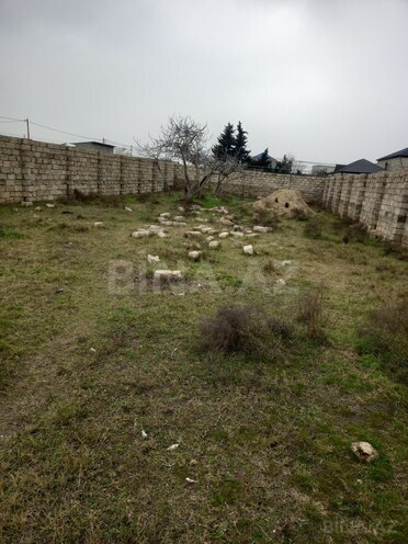 Продаётся  участок 5 сот, пос. Бина, photo 3 from 8