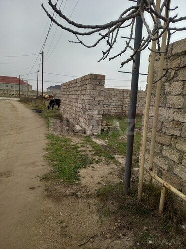 Продаётся  участок 5 сот, пос. Бина, photo 4 from 8