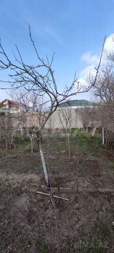 Satılır  torpaq 6 sot, Türkan q., photo 29 from 32