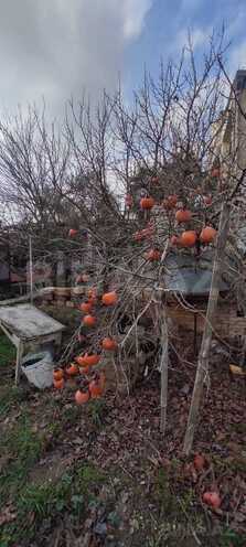 Satılır  torpaq 6 sot, Türkan q., photo 19 from 32