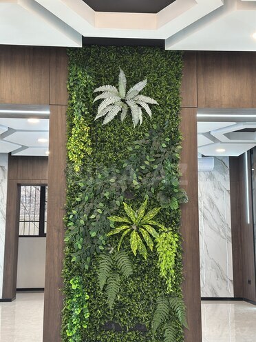 Сдаётся  объект 100 м², м. Шах Исмаил Хатаи, photo 5 from 18