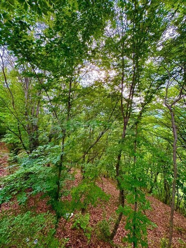 Сдаётся 1-комн. дом/дача 40 м², photo 10 from 14