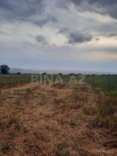 Satılır  torpaq 50 sot, photo 4 from 6