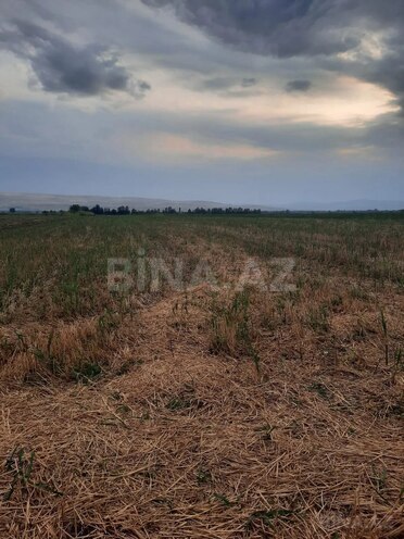 Satılır  torpaq 50 sot, photo 5 from 6