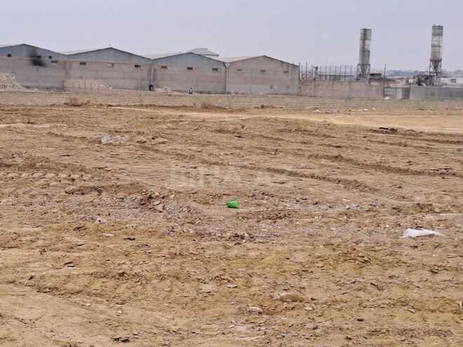 Продаётся  участок 200 сот, пос. Мамедли, photo 3 from 8