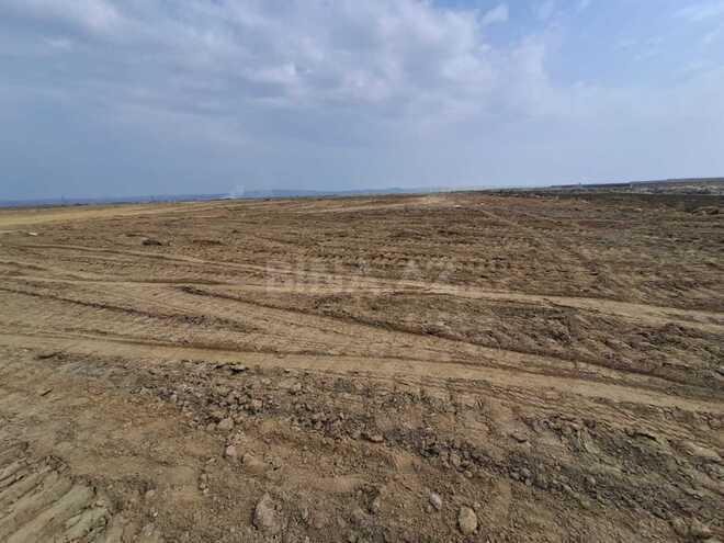 Продаётся  участок 200 сот, пос. Мамедли, photo 7 from 8