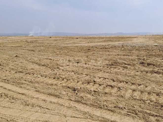 Продаётся  участок 200 сот, пос. Мамедли, photo 4 from 8