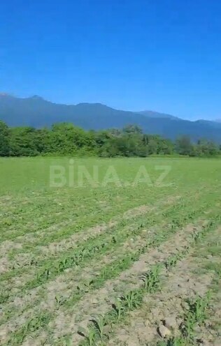 Продаётся  участок 100 сот, photo 4 from 5