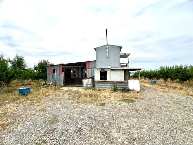 Satılır  torpaq 800 sot, photo 9 from 18