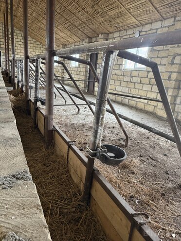 Satılır  obyekt 3 000 m², photo 5 from 14