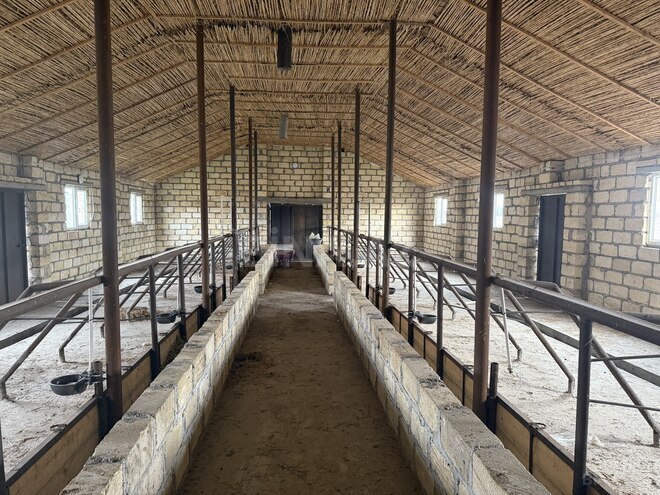 Satılır  obyekt 3 000 m², photo 12 from 14