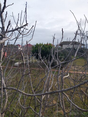 Продаётся  участок 12 сот, пос. Вишнёвка, photo 8 from 11