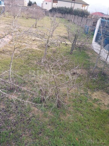 Продаётся  участок 12 сот, пос. Вишнёвка, photo 4 from 11