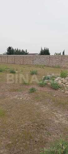 Продаётся  участок 44 сот, пос. Вишнёвка, photo 6 from 7