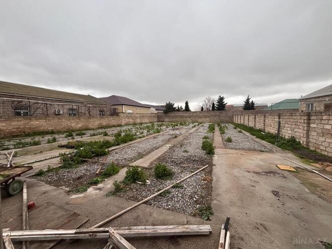 Satılır  torpaq 10 sot, Albalılıq q., photo 9 from 16