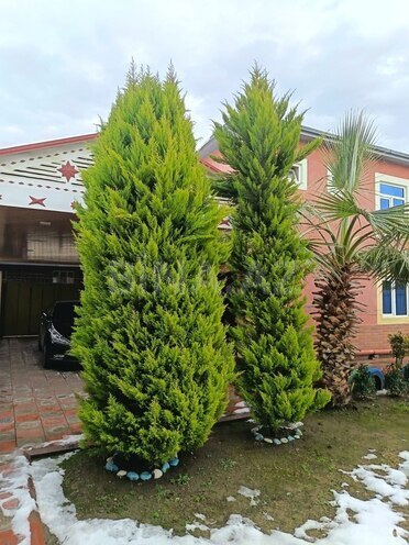 İcarəyə verilir 6 otaqlı həyət evi/bağ evi 200 m², photo 21 from 26