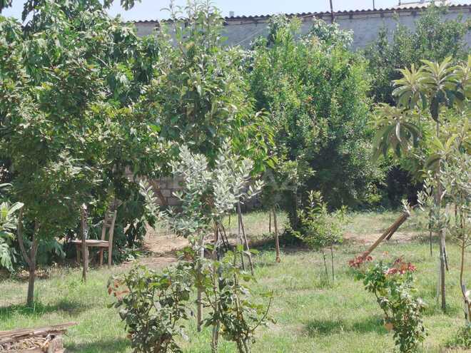 Satılır 3 otaqlı həyət evi/bağ evi 100 m², Zabrat q., photo 19 from 26
