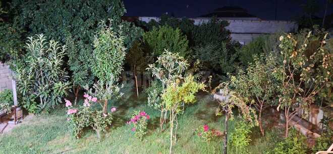 Satılır 3 otaqlı həyət evi/bağ evi 100 m², Zabrat q., photo 22 from 26