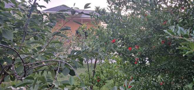 Satılır 3 otaqlı həyət evi/bağ evi 100 m², Zabrat q., photo 20 from 26