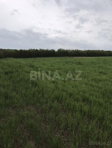 Satılır  torpaq 130 sot, photo 3 from 5