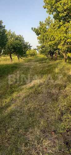 Satılır  torpaq 65 sot, photo 4 from 5