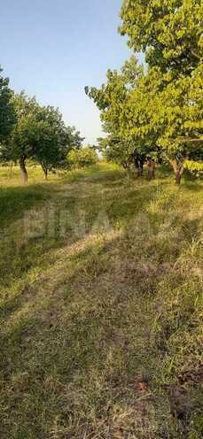 Satılır  torpaq 65 sot, photo 3 from 5