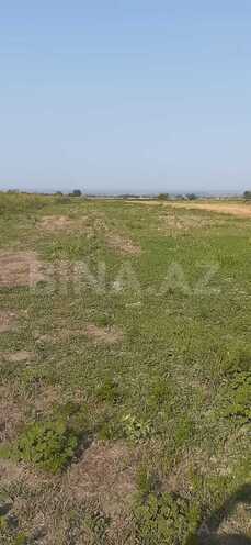 Satılır  torpaq 1 sot, photo 3 from 5