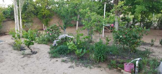 Продаётся 2-комн. дом/дача 70 м², пос. Гала, photo 25 from 26