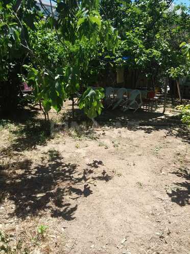 Satılır  torpaq 6 sot, Badamdar q., photo 3 from 8