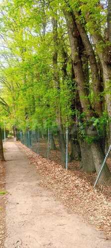 İcarəyə verilir 3 otaqlı həyət evi/bağ evi 100 m², photo 29 from 32