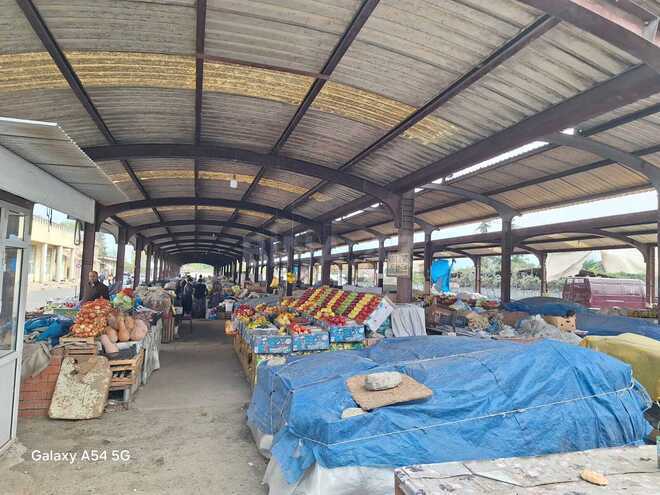 Satılır  torpaq 24 sot, photo 6 from 9