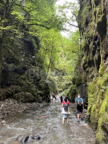 Satılır  torpaq 14 sot, photo 4 from 7