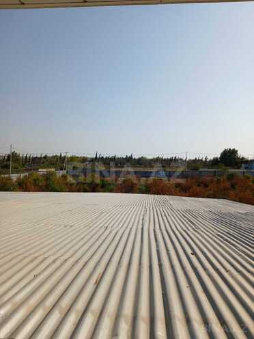 Satılır  torpaq 250 sot, photo 6 from 24