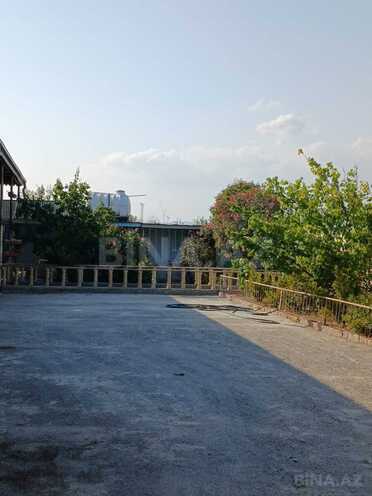 Satılır  torpaq 250 sot, photo 4 from 24